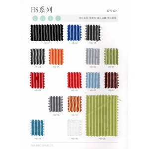 HS系列(網)